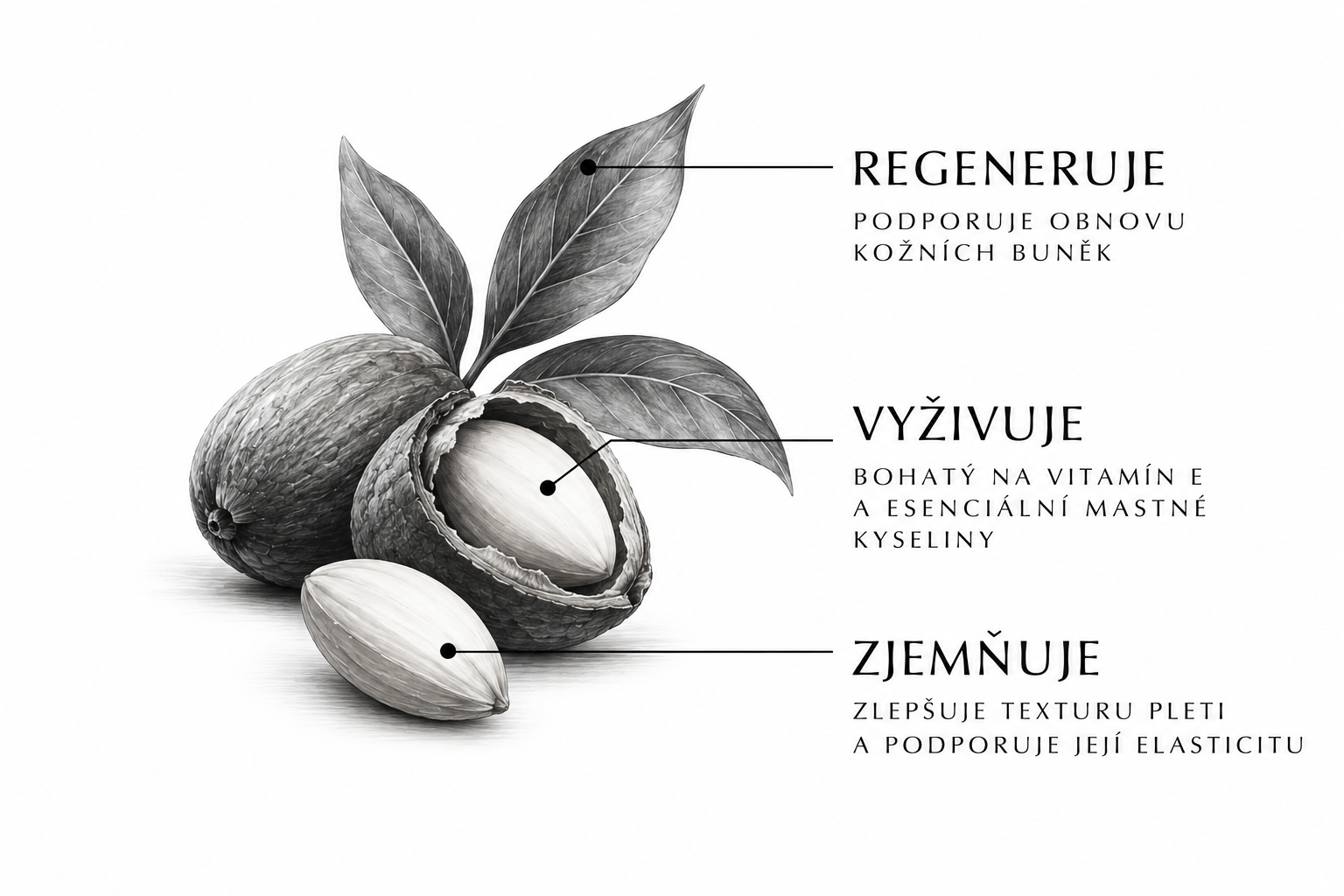 Makro fotografie rostlinného oleje