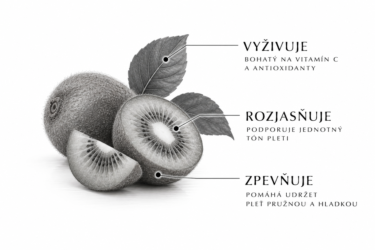 Makro fotografie rostlinného oleje